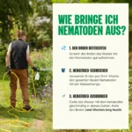 Nematoden im garten ausbringen