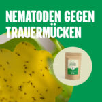 Nematoden gegen trauermücken