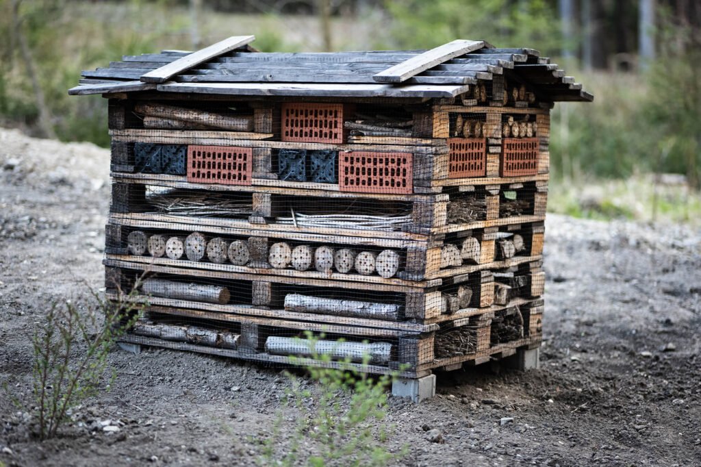 Selbst ein Insektenhotel bauen