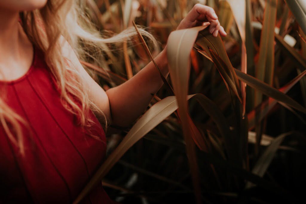 Fehler, die man im Gemüsegarten macht