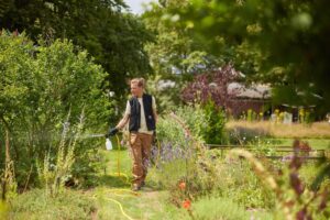 Aussetzen von Nematoden im Garten