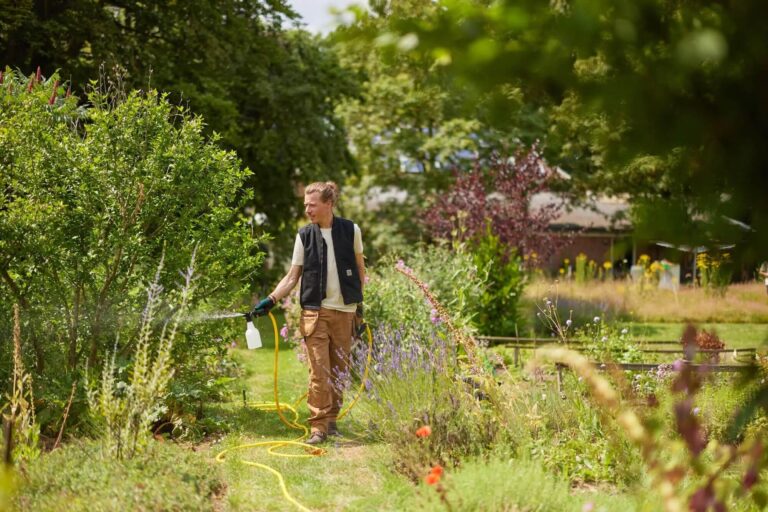 Aussetzen von Nematoden im Garten
