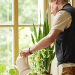 Mann mit Zimmerpflanzen