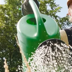 Ausbringungsanleitung feucht halten