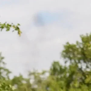 Ausbringungsanleitung-Morgen oder Abend