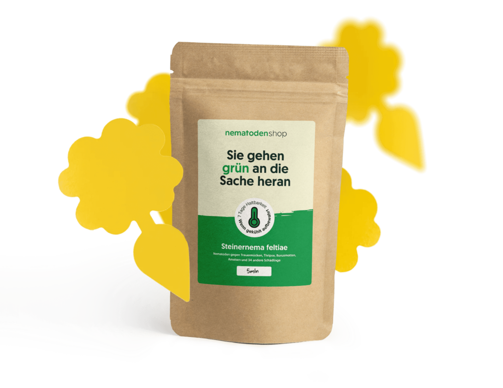 Kombi-deal gegen Trauermücken verpackung