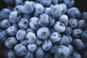 Blaubeeren selbst anbauen