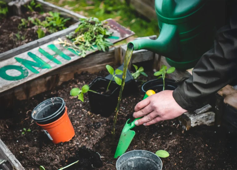 Selbst Dünger herstellen