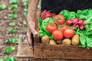 Mann mit gemuese in kiste