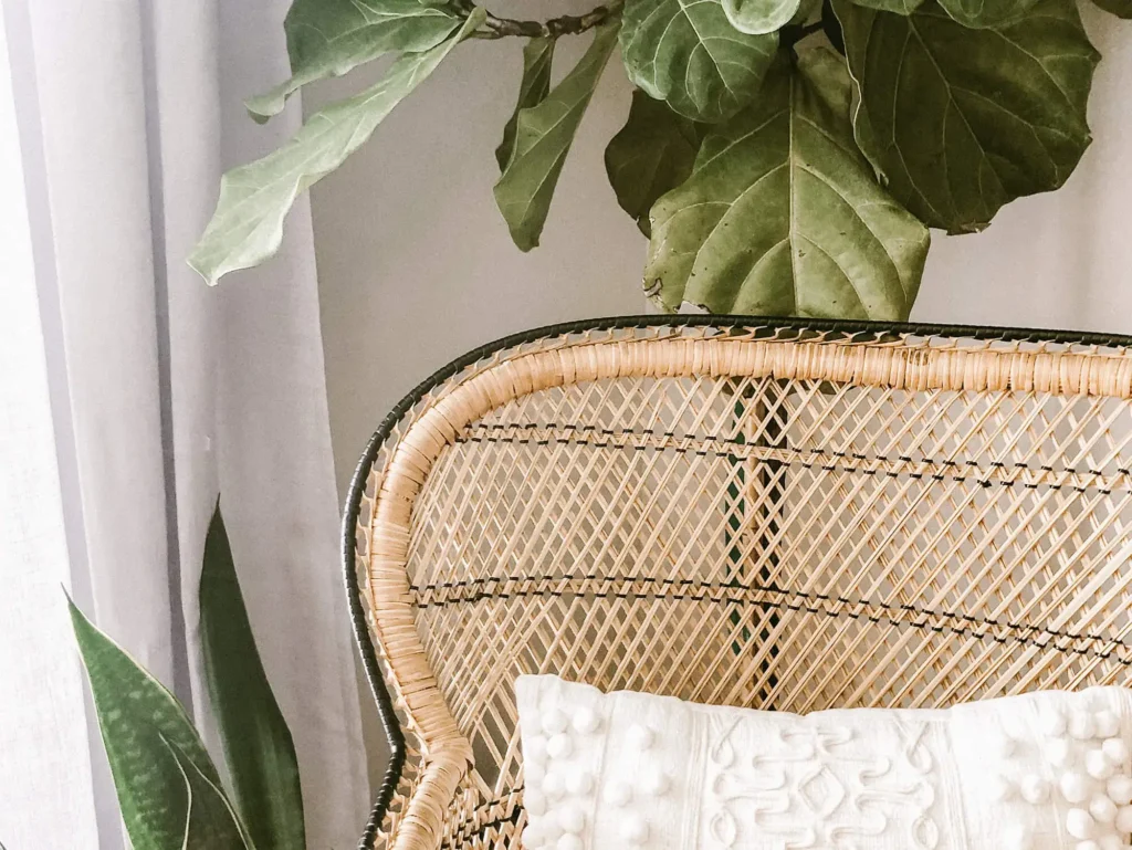 Trauermücken im Haus