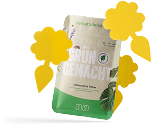 Kombi deal gegen trauermücken